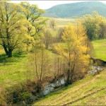 В Оренбургской области будет создана лечебно-курортная зона
