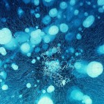 Новые экскурсионные маршруты на воде открываются в Дубае
