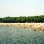 Пляжи Киева официально откроются в конце мая